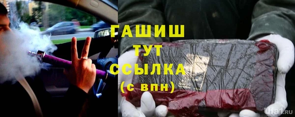 молекула духа Ельня