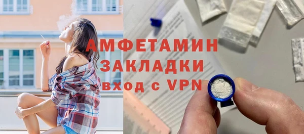 молекула духа Ельня
