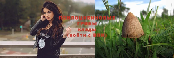 гашик Дмитровск