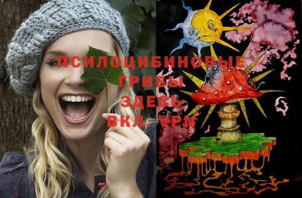 ПСИЛОЦИБИНОВЫЕ ГРИБЫ Заводоуковск