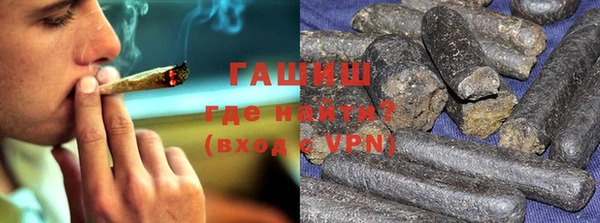 молекула духа Ельня