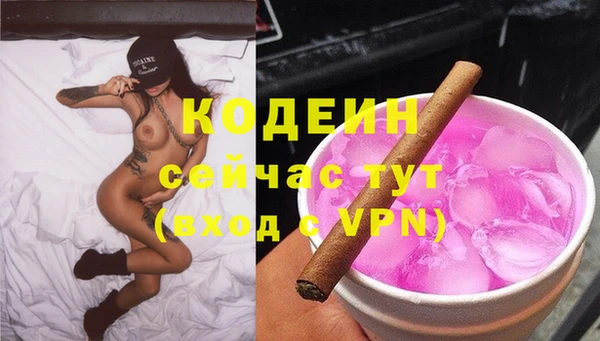молекула духа Ельня
